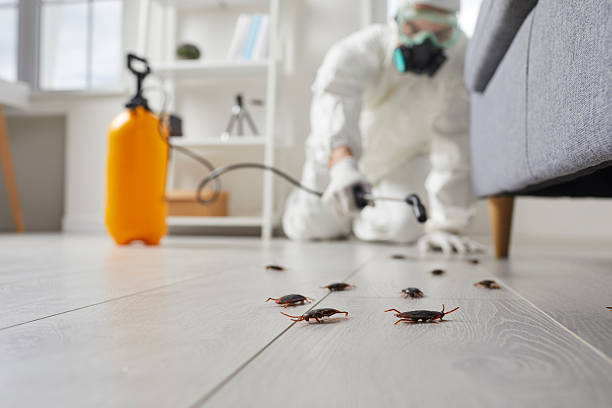 Post-Treatment Bed Bug Interceptor Monitoring in Vinton