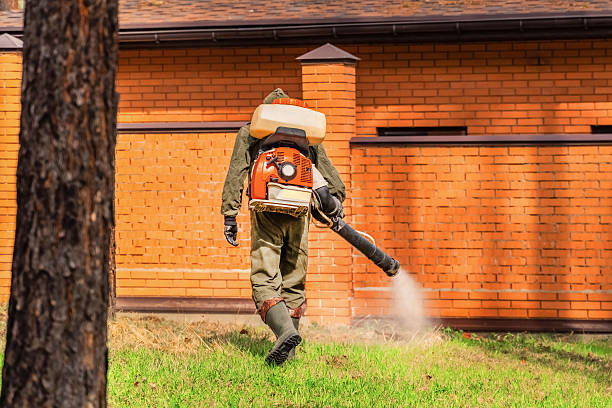 Bed Bug Clearance Verification and Documentation in Vinton
